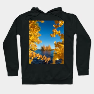 Autumn Island Hoodie